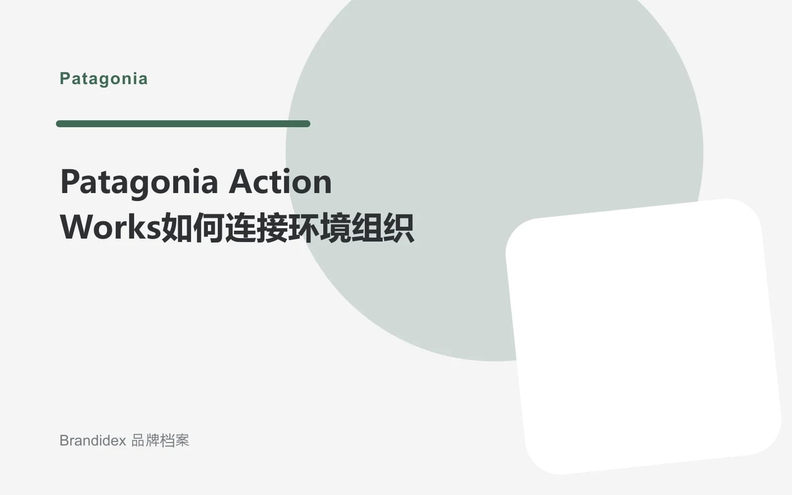 Patagonia Action Works如何连接环境组织文章封面
