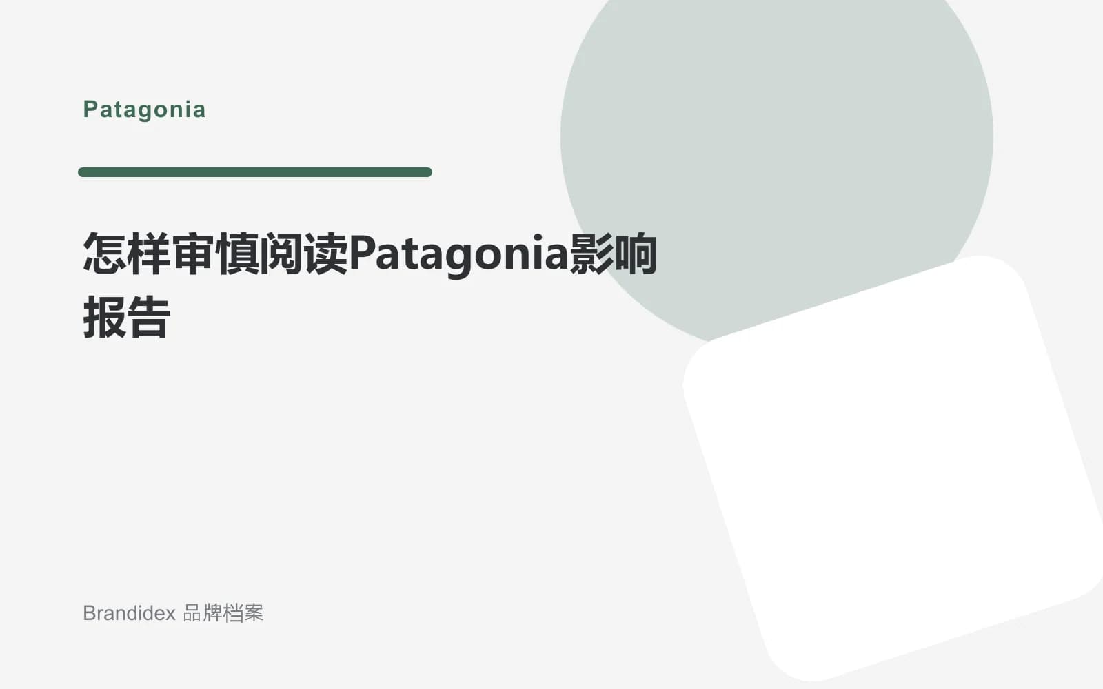 怎样审慎阅读Patagonia影响报告文章封面