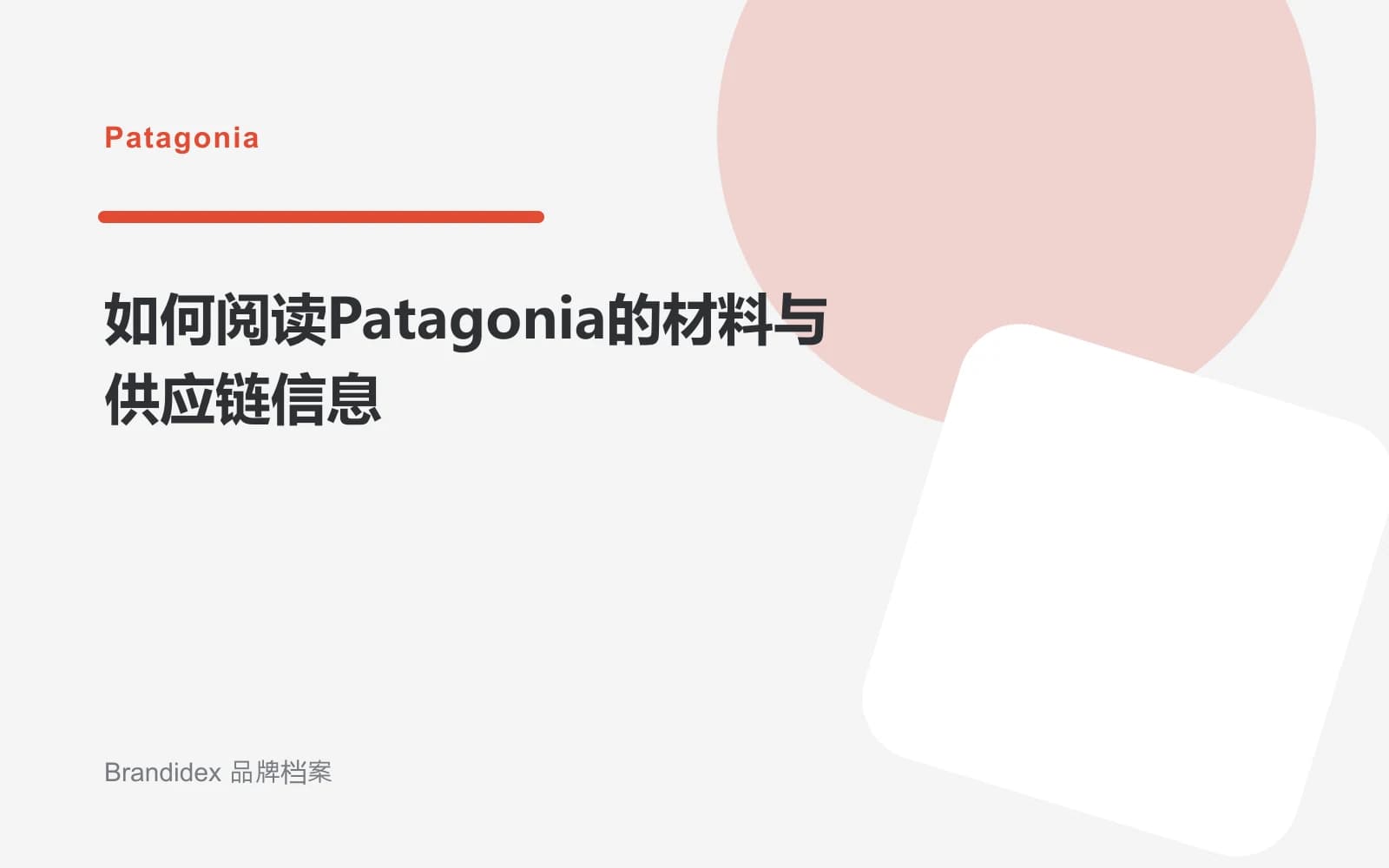 如何阅读Patagonia的材料与供应链信息文章封面