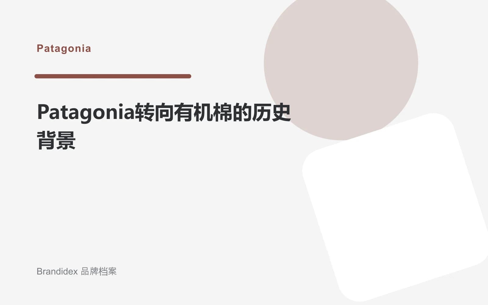 Patagonia转向有机棉的历史背景文章封面