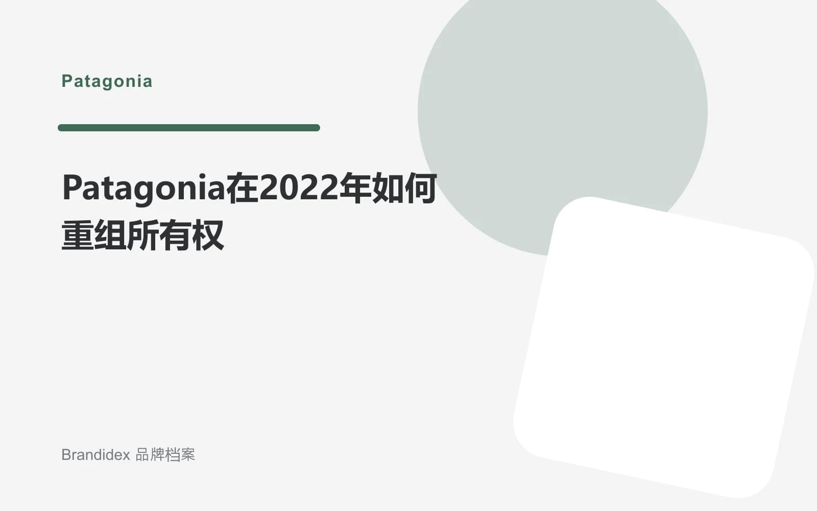 Patagonia在2022年如何重组所有权文章封面